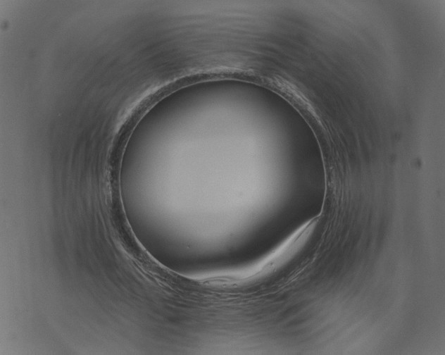 X0000073710676200608171139