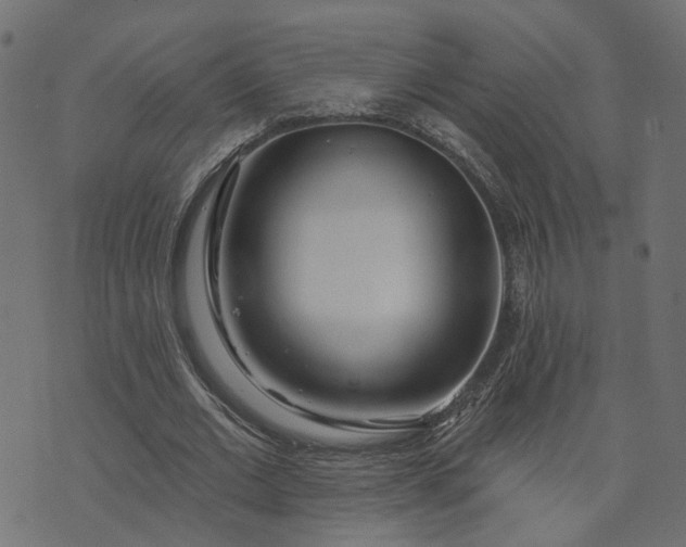 X0000073710677200608171139