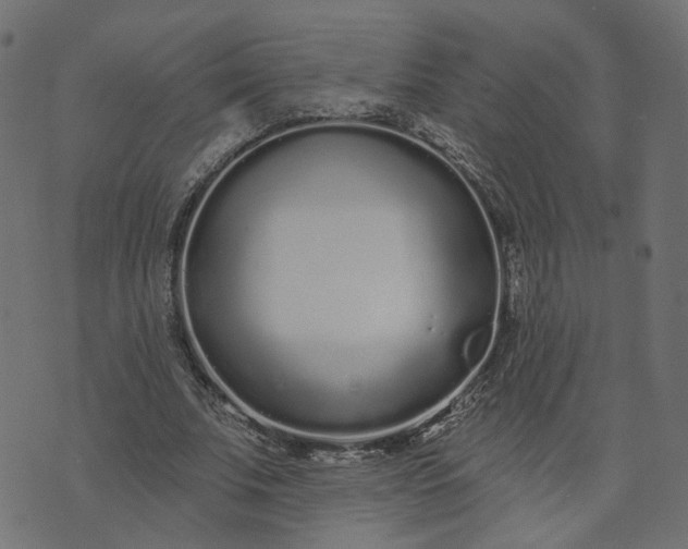 X0000073710679200608171139