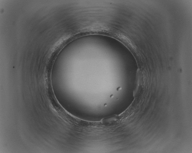 X0000073710680200608171139