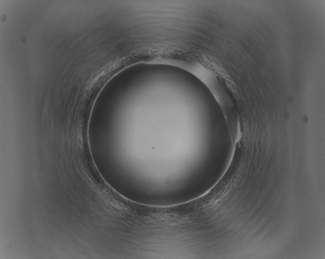 X0000073710681200608171139