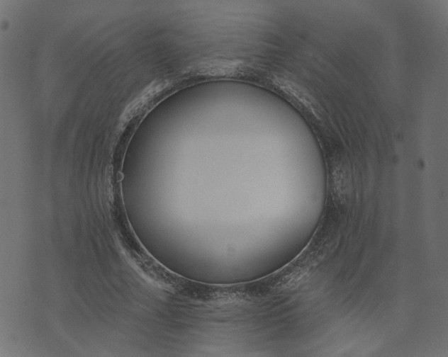 X0000073710682200608171139