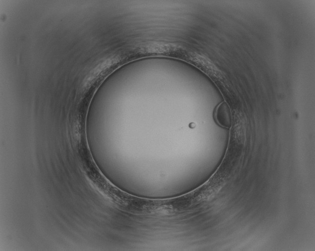 X0000073710683200608171139