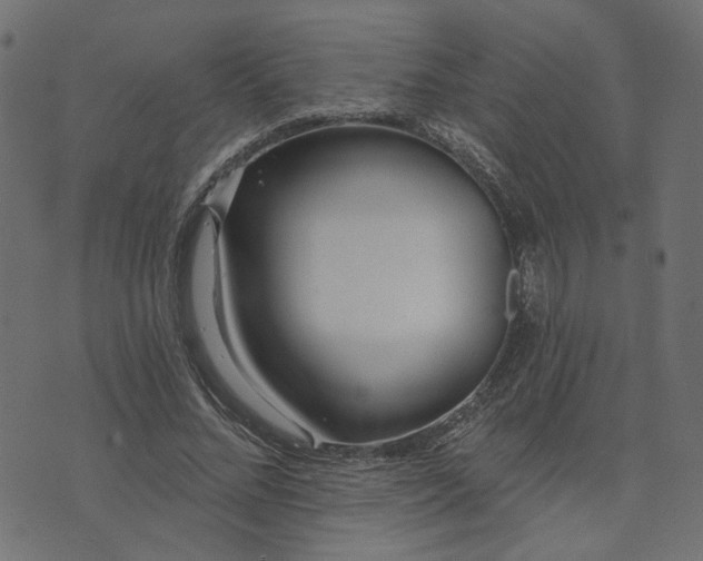 X0000073710684200608171139