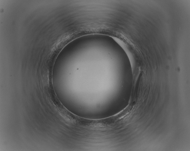 X0000073710685200608171138