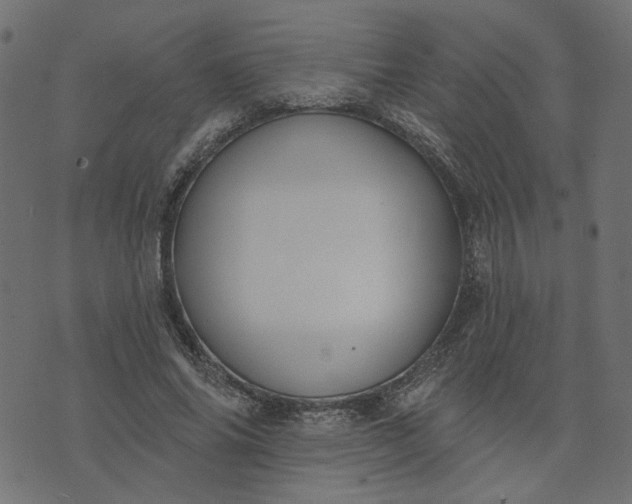 X0000073710686200608171138