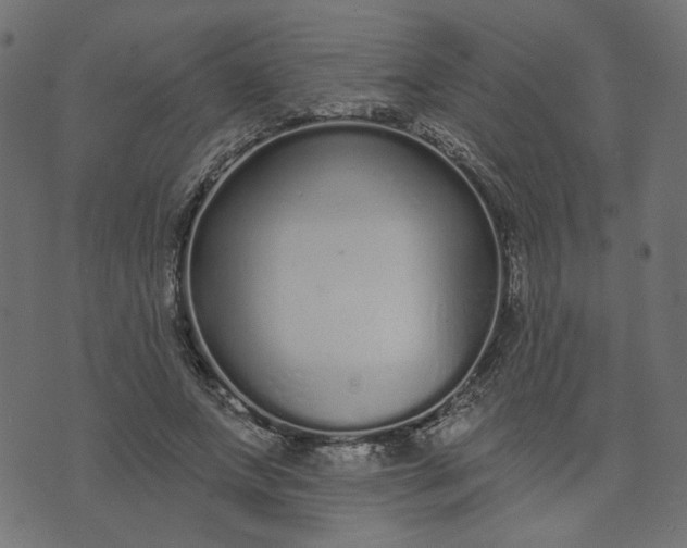 X0000073710687200608171138