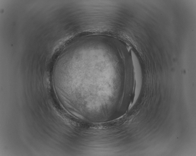 X0000073710688200608171138