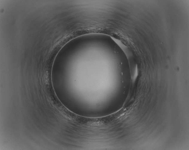 X0000073710689200608171138