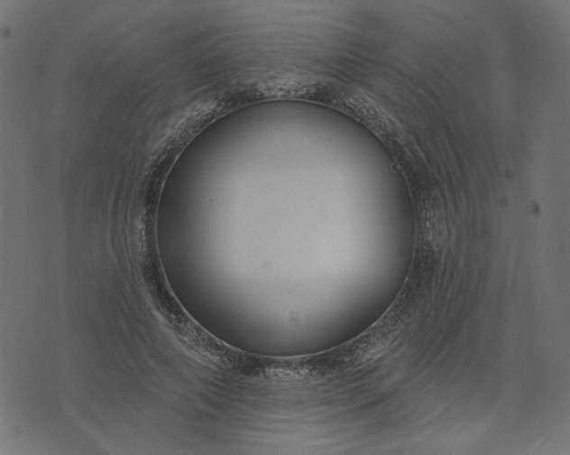 X0000073710690200608171138