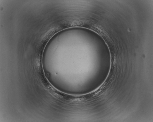 X0000073710691200608171138