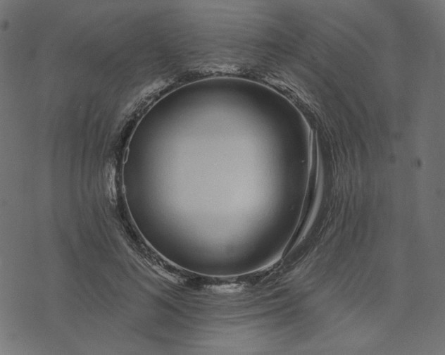 X0000073710692200608171138