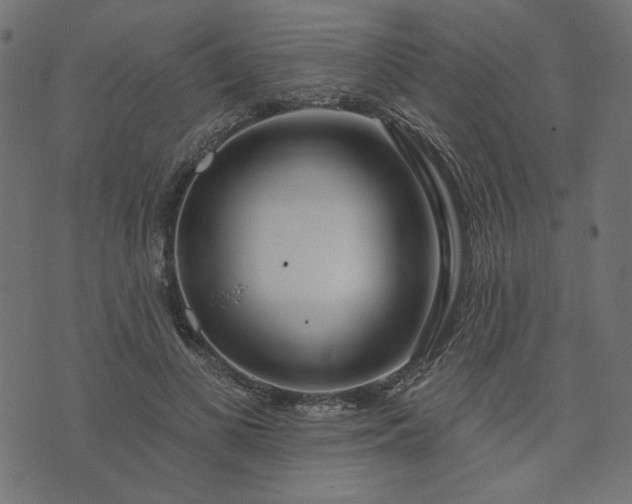 X0000073710693200608171138