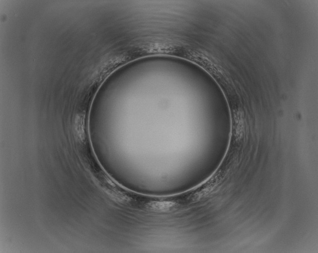 X0000073710695200608171138