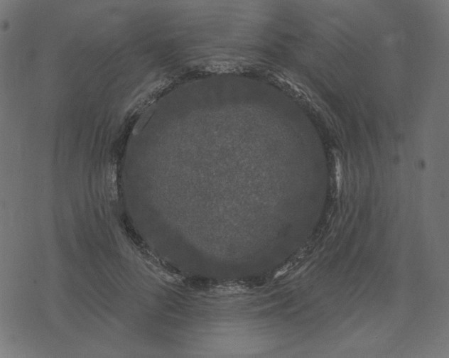 X0000073710696200608171138