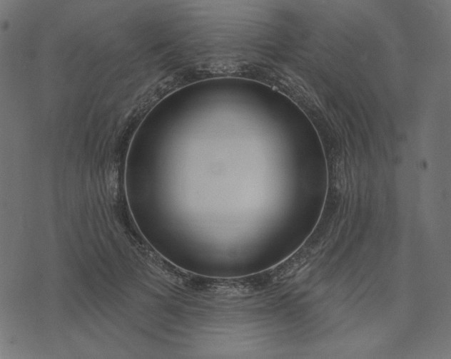 X0000073710697200608171138