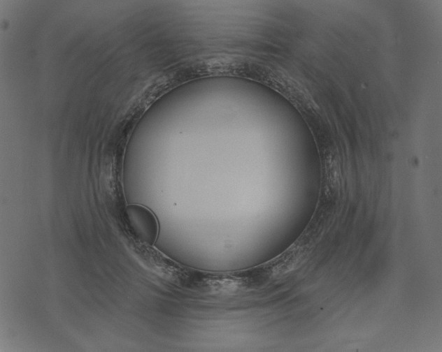 X0000073710698200608171138