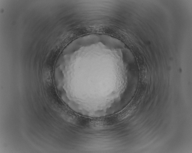 X0000073710699200608171138