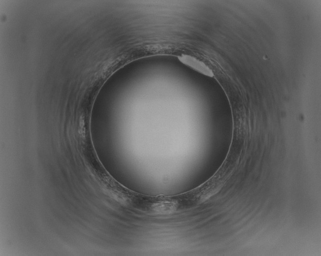 X0000073710700200608171138