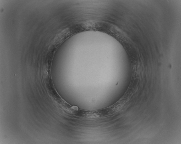 X0000073710702200608171138