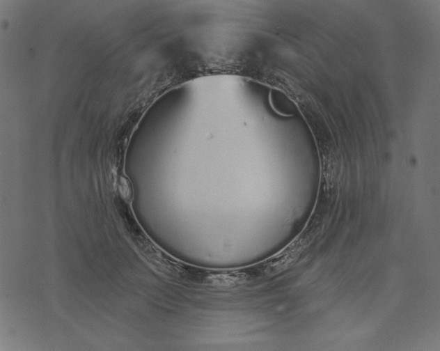 X0000073710703200608171138