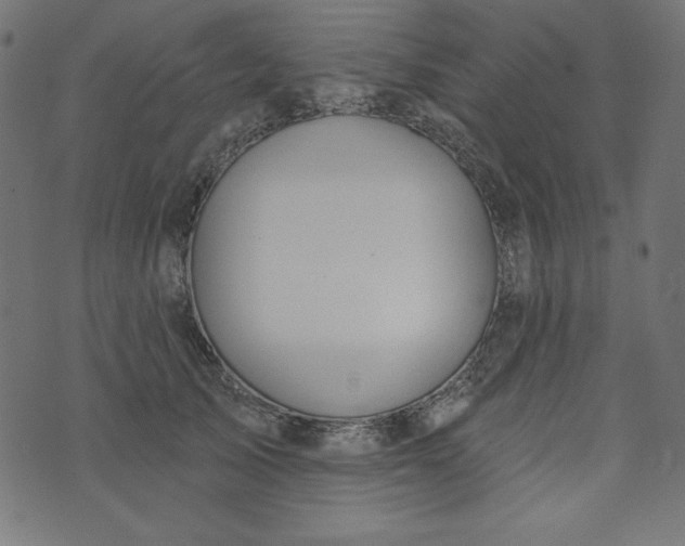 X0000073710705200608171138