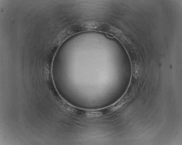 X0000073710707200608171138