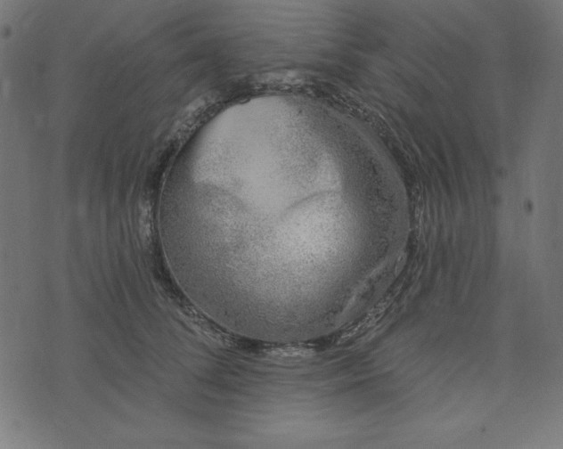 X0000073710708200608171138