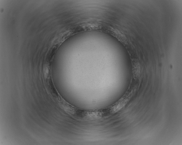 X0000073710709200608171138