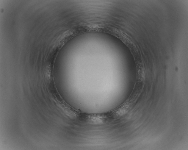 X0000073710710200608171138