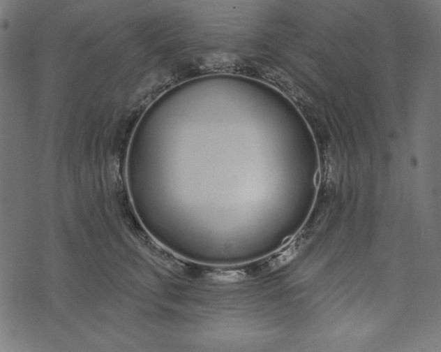 X0000073710711200608171138