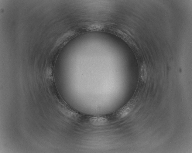 X0000073710714200608171138