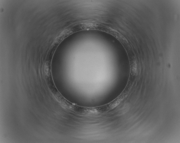 X0000073710715200608171138