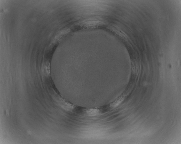 X0000073710718200608171138