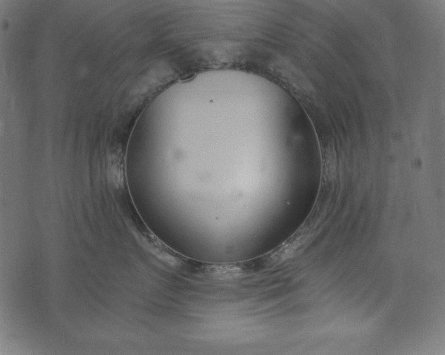 X0000073710719200608171138