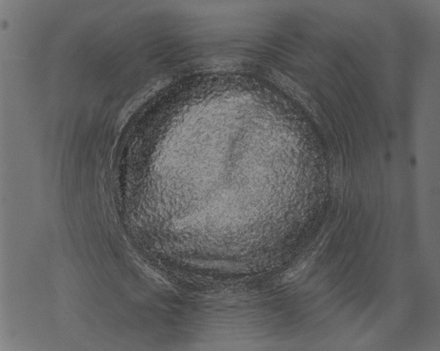 X0000073710721200608171137