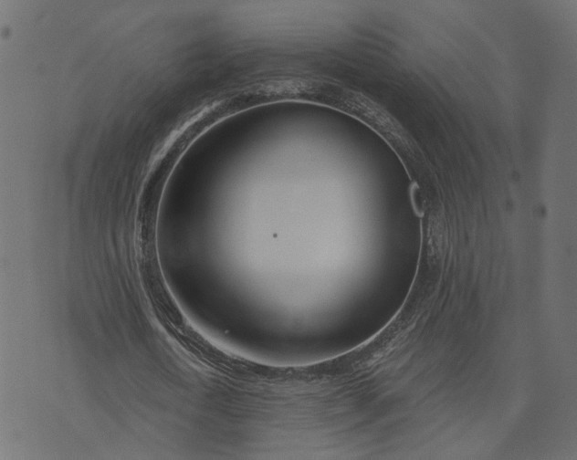 X0000073710722200608171137