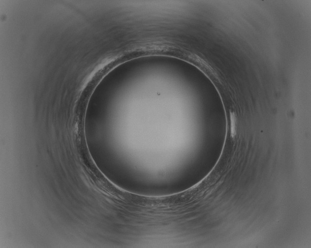 X0000073710723200608171137