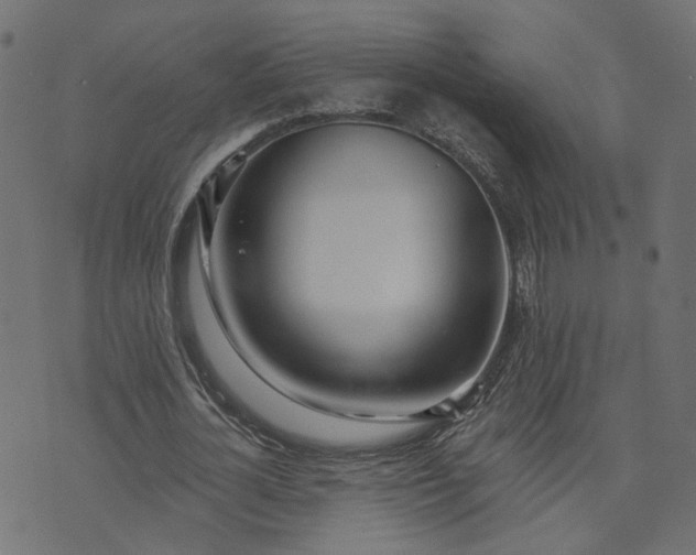 X0000073710724200608171137