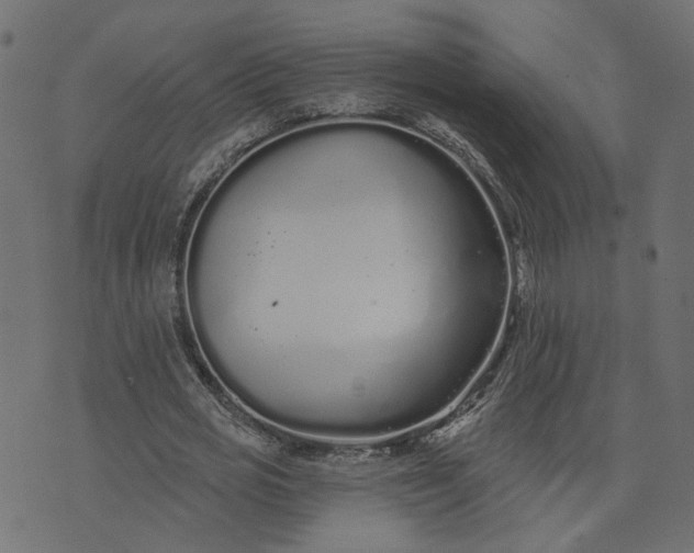 X0000073710725200608171137