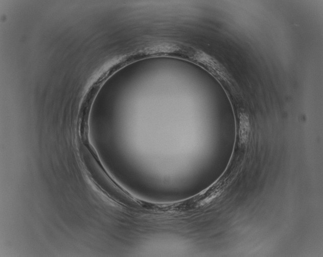 X0000073710726200608171137