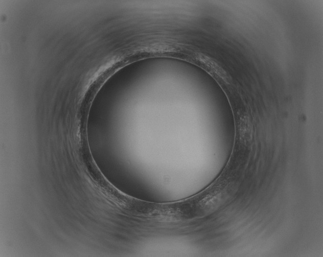 X0000073710727200608171137