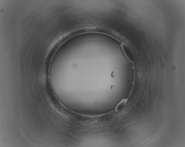 X0000073710728200608171137