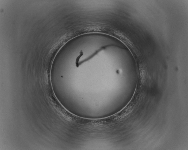 X0000073710729200608171137