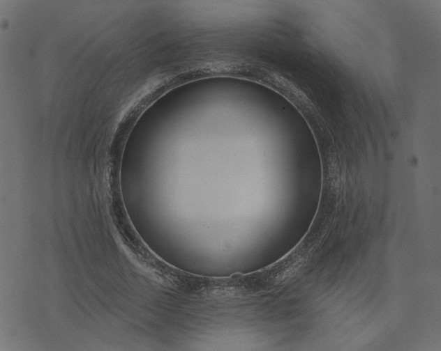 X0000073710730200608171137