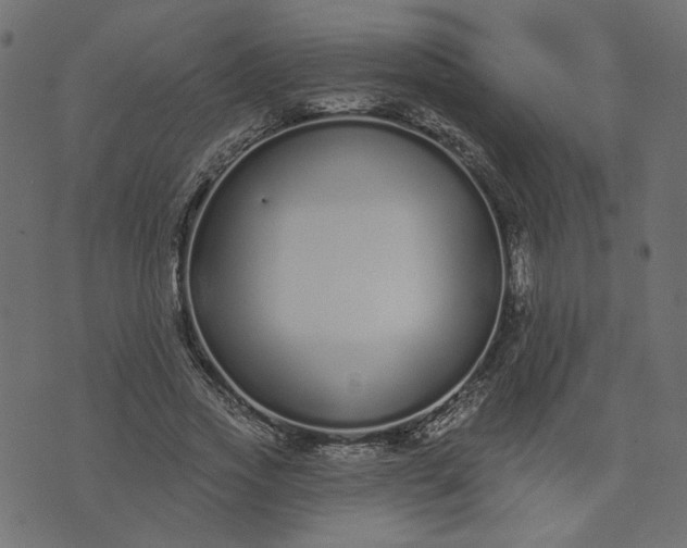 X0000073710733200608171137