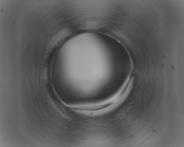 X0000073710735200608171137