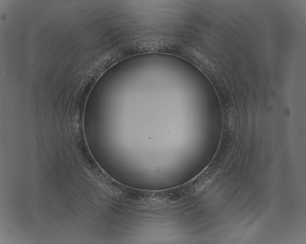 X0000073710737200608171137