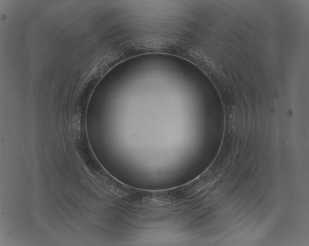 X0000073710739200608171137