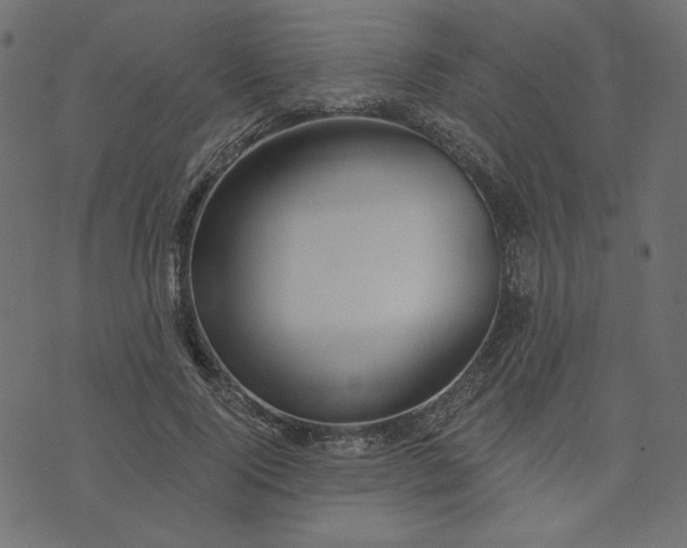 X0000073710740200608171137